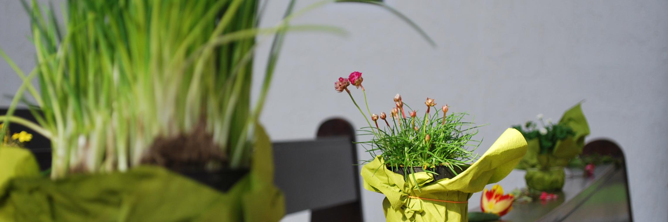 Familiengottesdienst Frühling