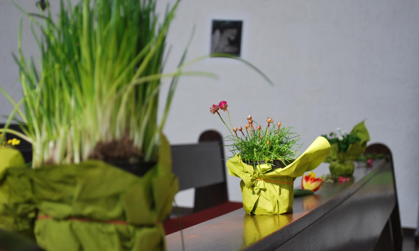 Familiengottesdienst Frühling