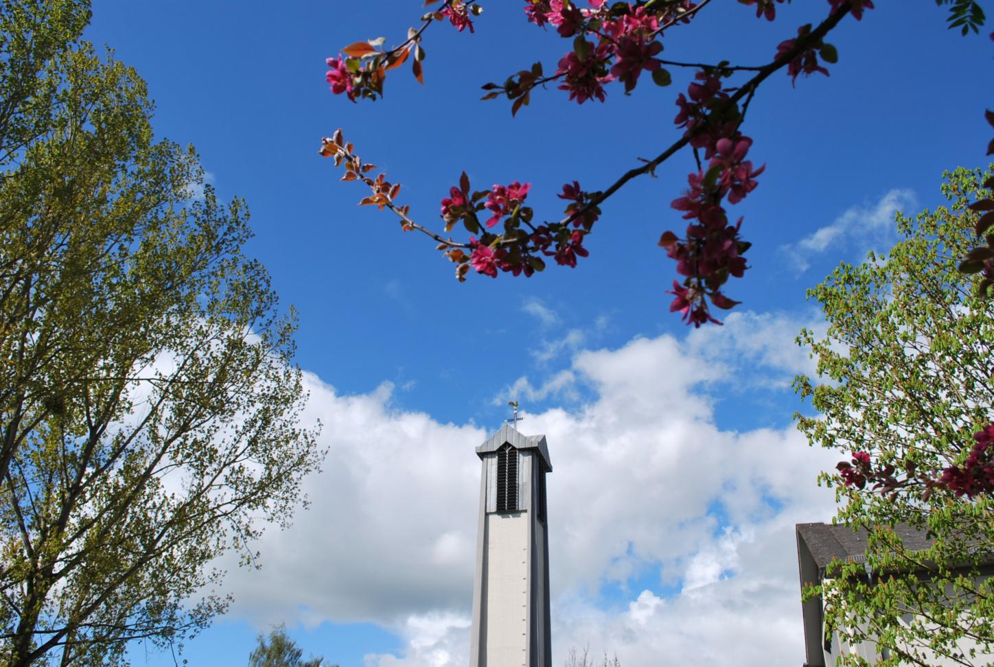 Glockenturm von Sankt Paulus im Frühling (c) Anke Dewald