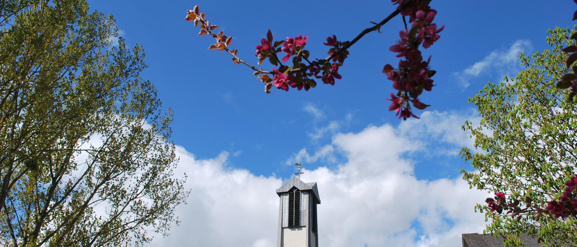 Glockenturm von Sankt Paulus im Frühling (c) Anke Dewald