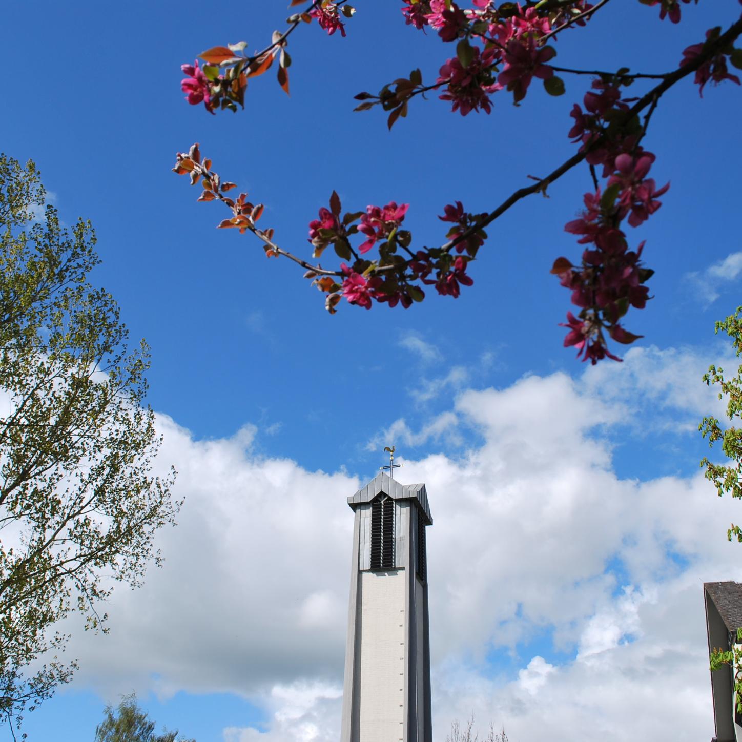 Glockenturm von Sankt Paulus im Frühling (c) Anke Dewald