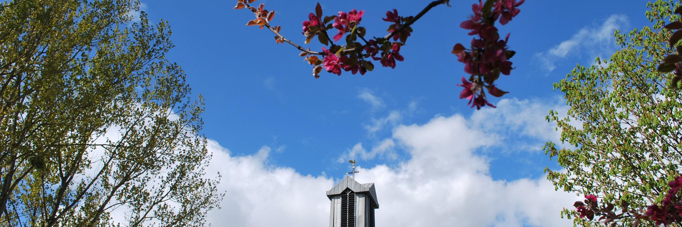 Glockenturm von Sankt Paulus im Frühling (c) Anke Dewald