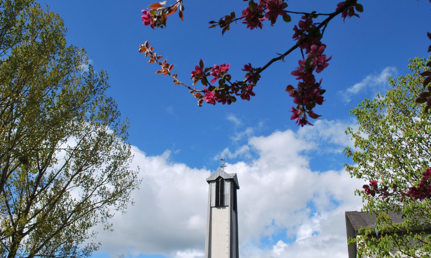 Glockenturm von Sankt Paulus im Frühling (c) Anke Dewald