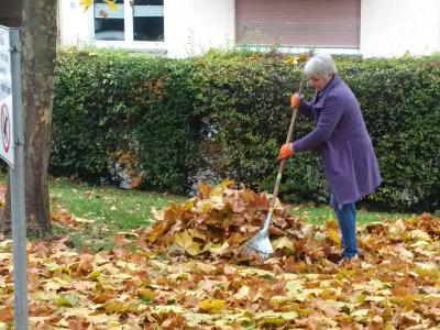 Gratenaktion Blätter auf dem Kirchplatz