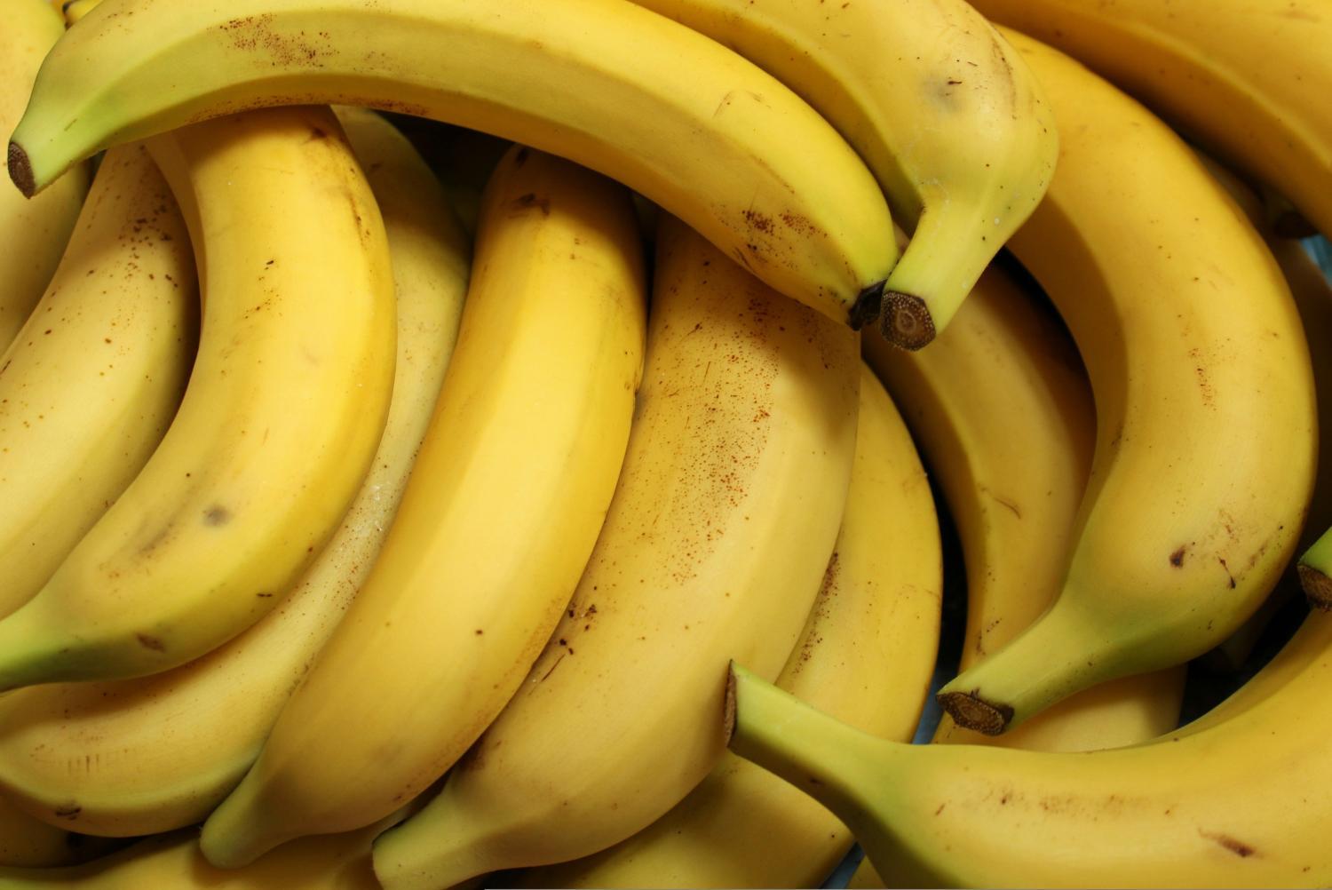 bananas-3700718_by__Alicja__pixabay_pbs