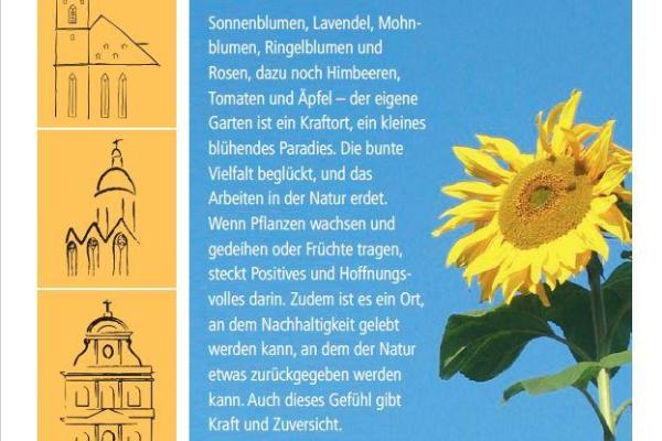 Mittendrin.JPG_2063210219