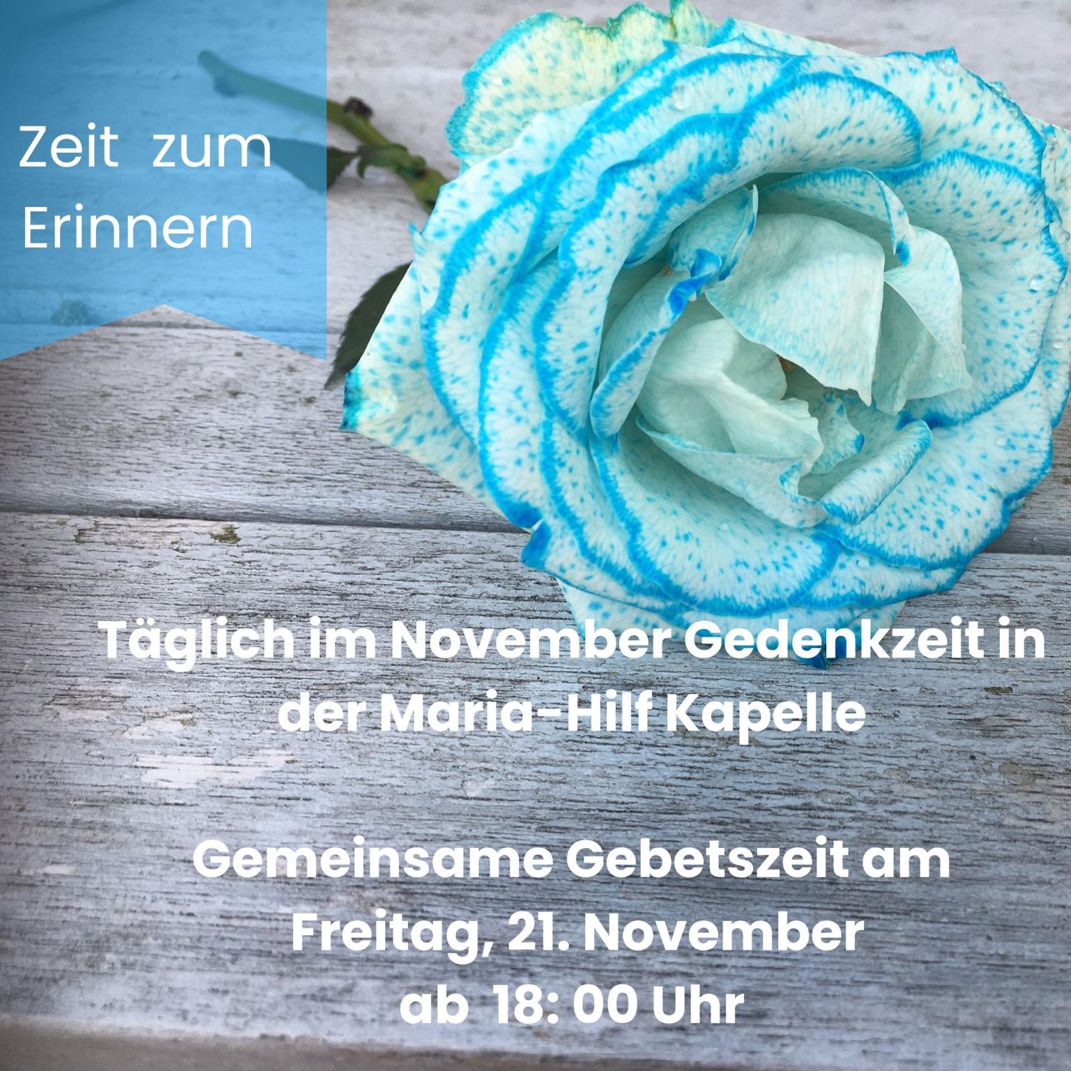 Plakat 21.11. (c) Eva Ballie