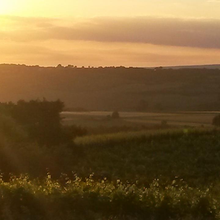 Sommerbild 23 (c) PetersChor