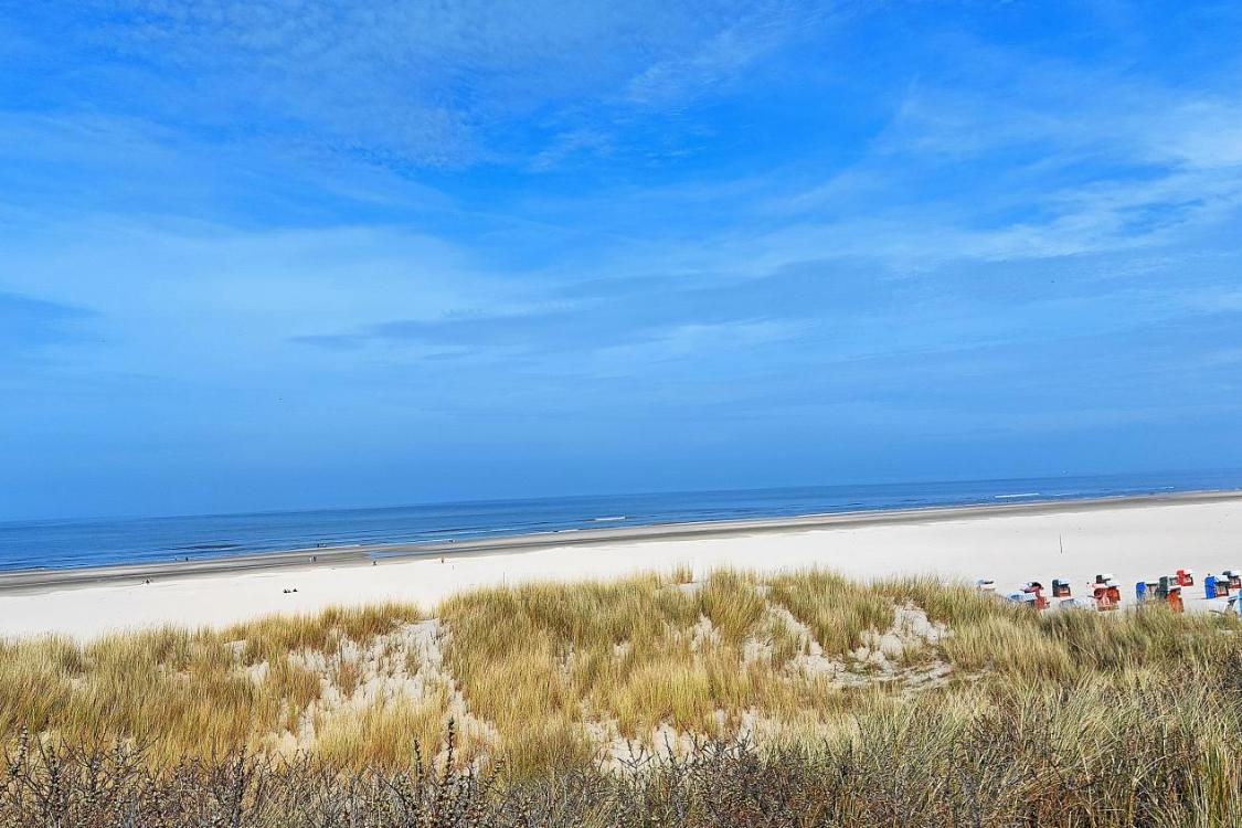 Strand mit Dünen und weites Meer