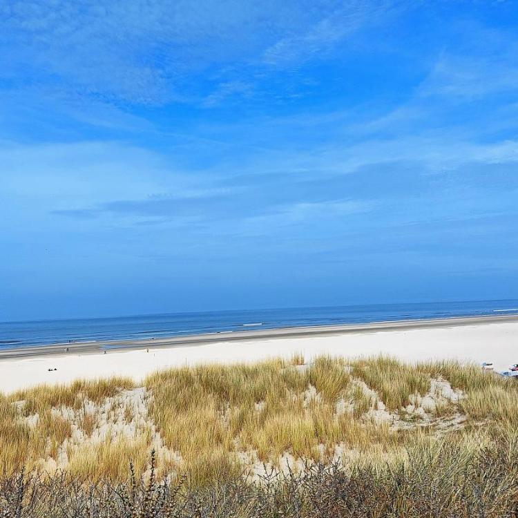Strand mit Dünen und weites Meer