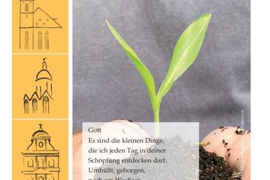 Mittendrin 8,2026