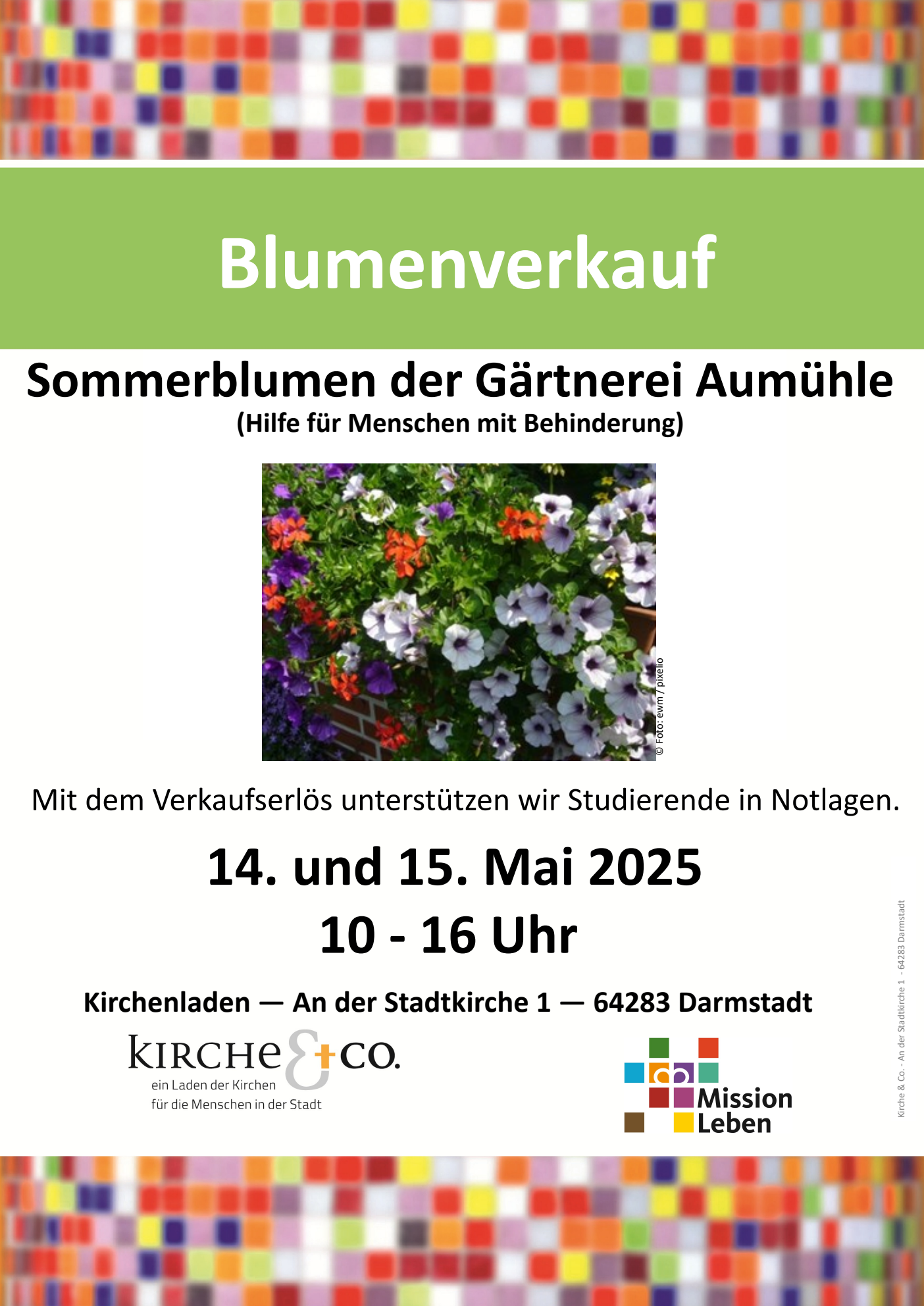 Blumenverkauf (c) Redaktion