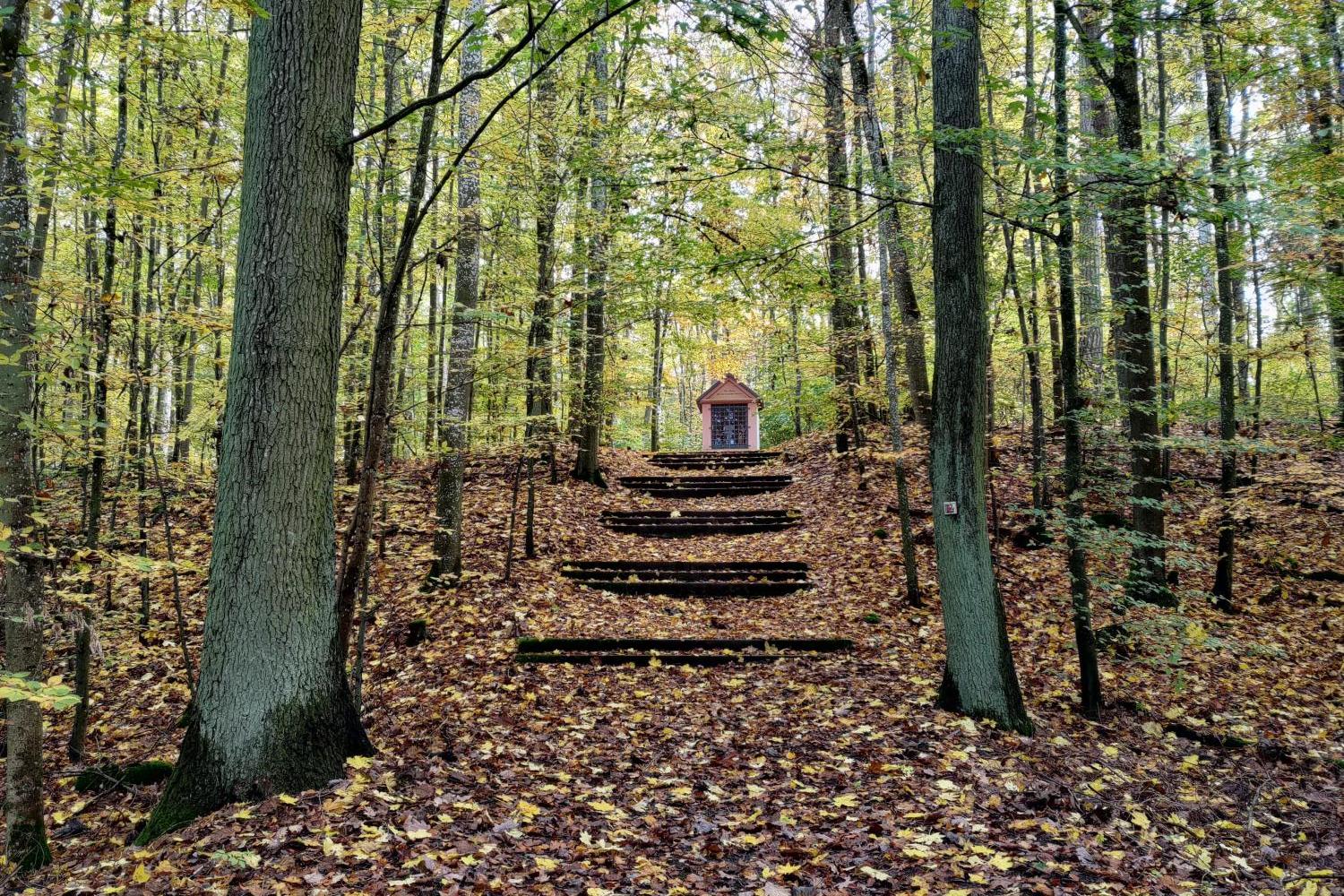 P_20231101_142620_by_Christian-Schmitt_pfarrbriefservice (c) P_20231101_142620_by_Christian-Schmitt_pfarrbriefservice