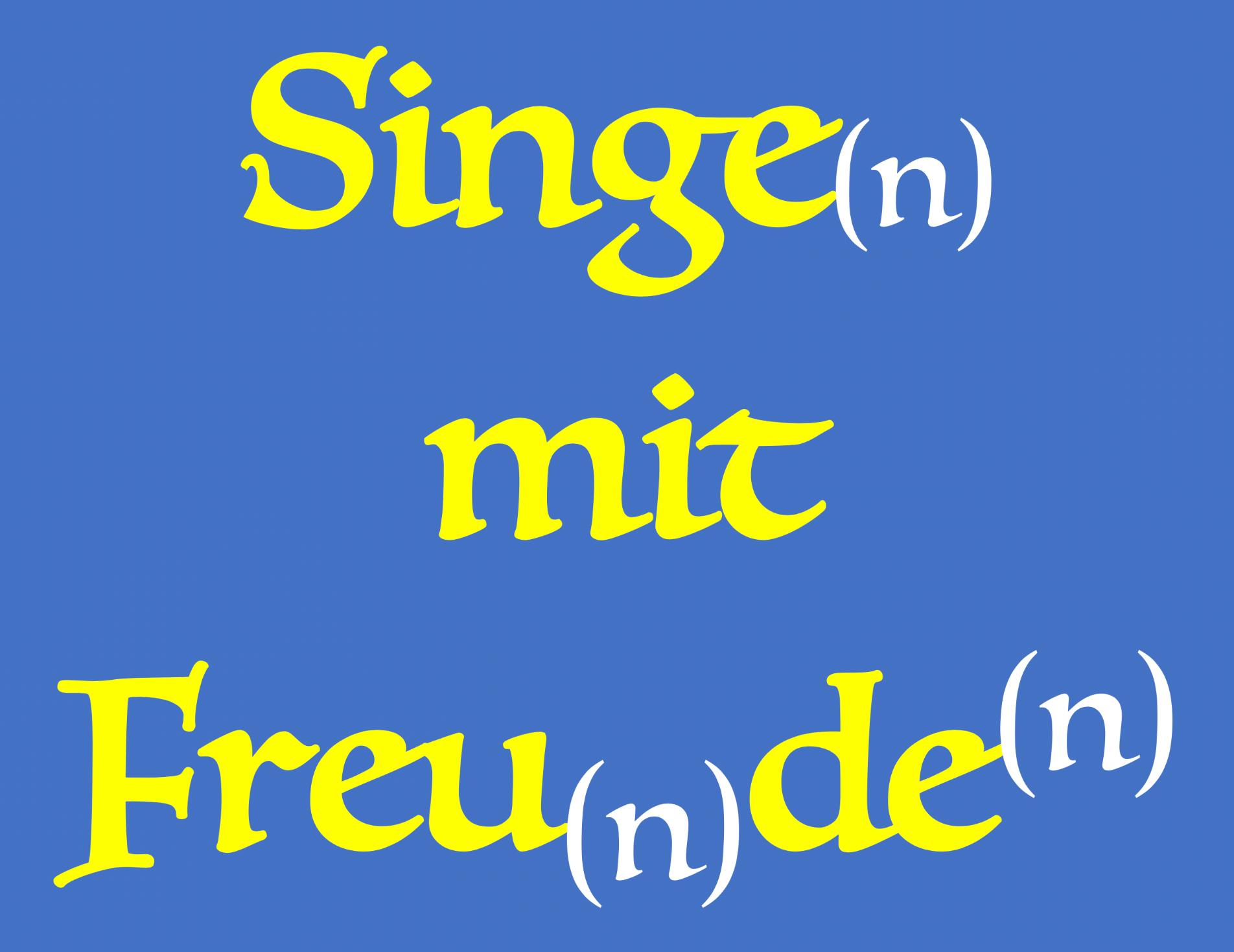 Singen mit Freunden (c) N. Müller