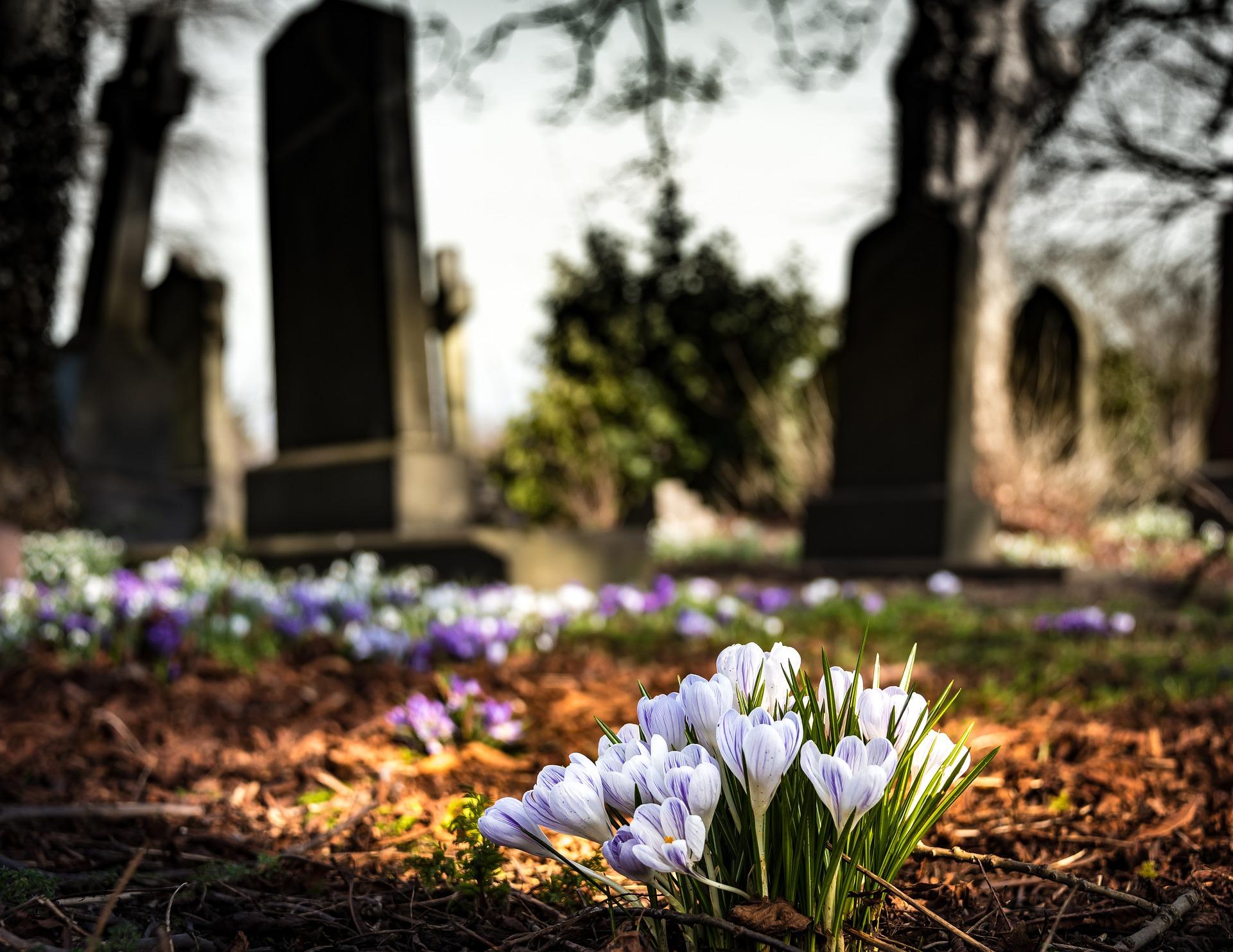 Friedhof (c) Bild von drippycat auf Pixabay