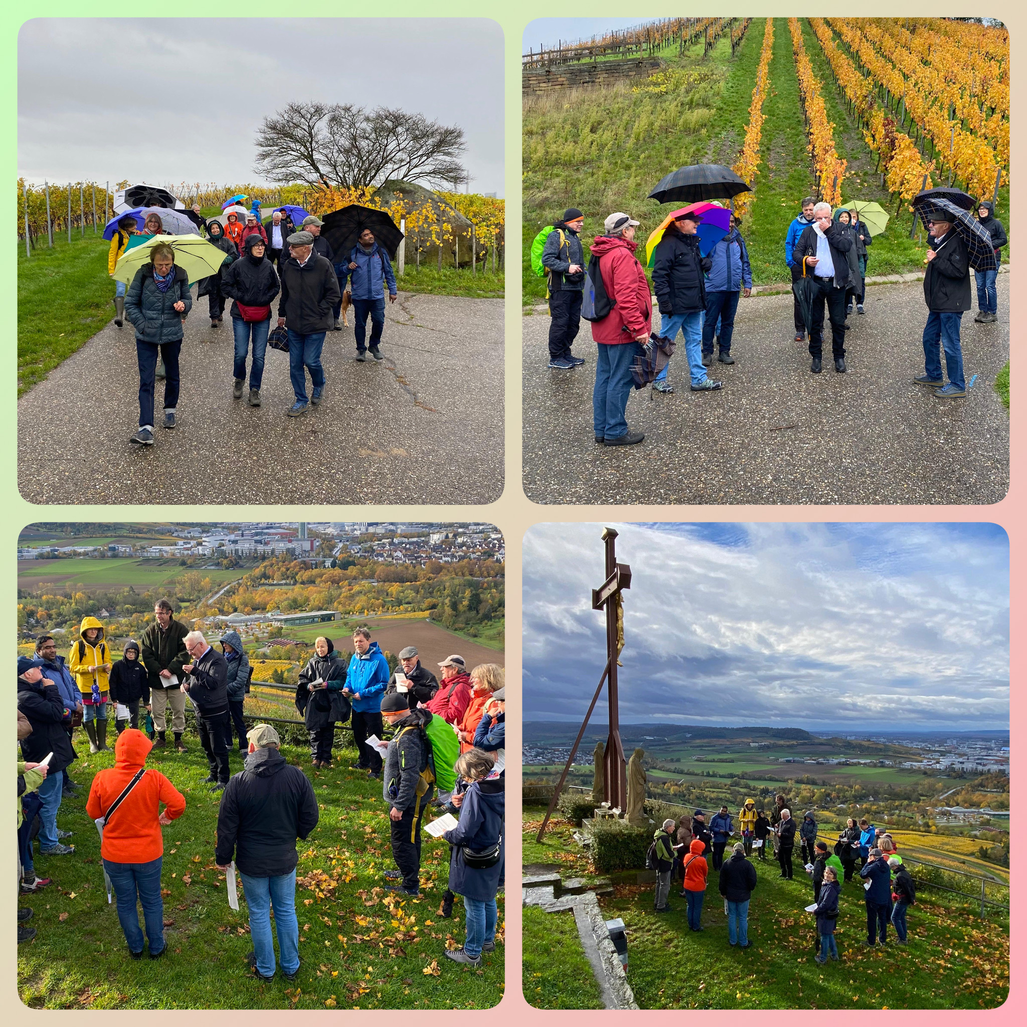 Weinbergwanderung 20251