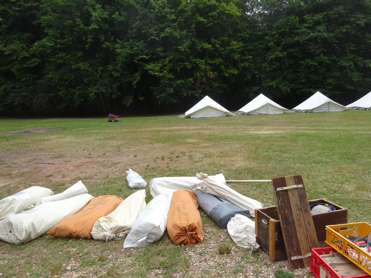 ZeLa (c) Alex Albert