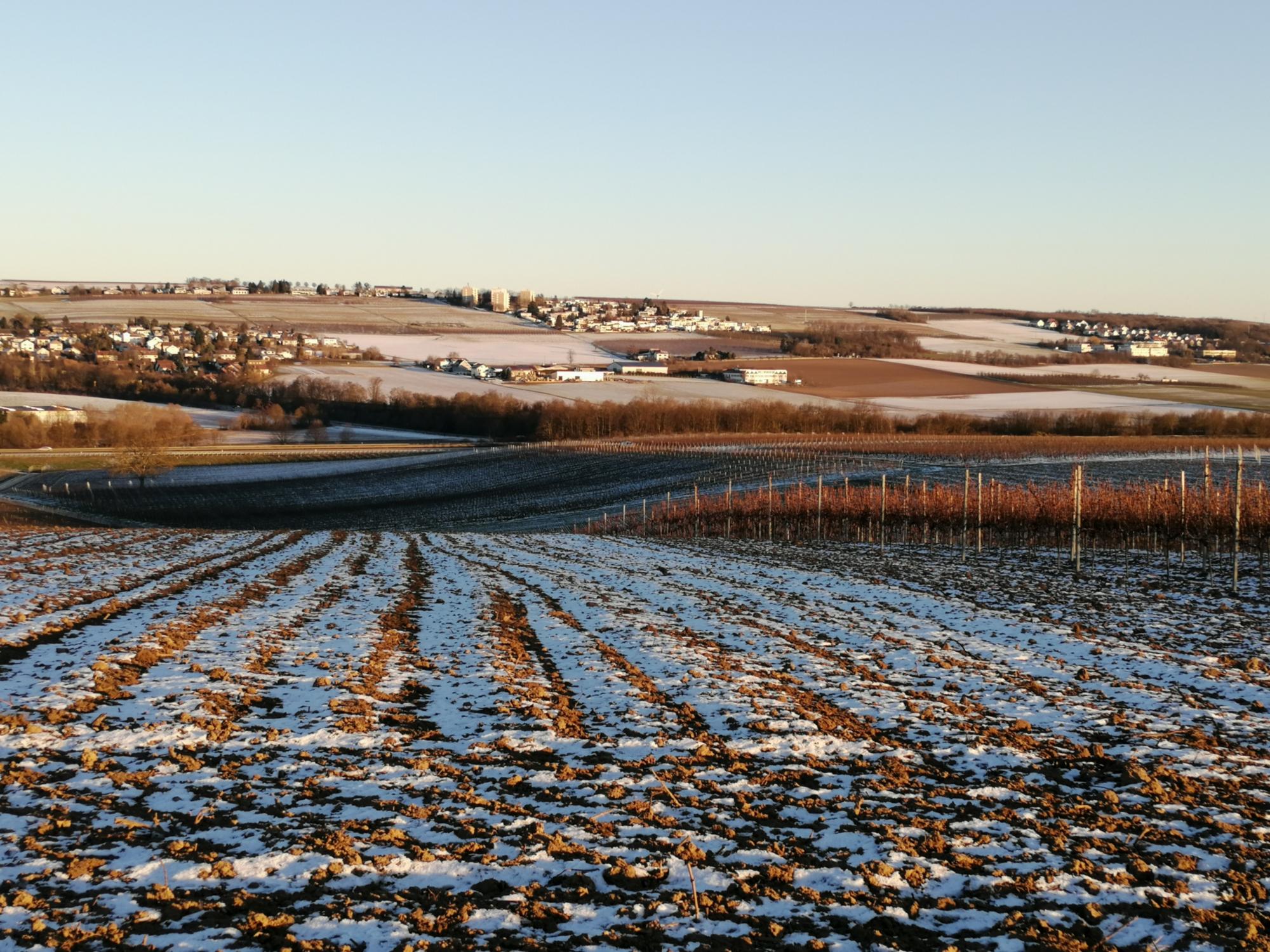 Aussicht auf den Goldberg vom Friedenskreuz_13 02 2021