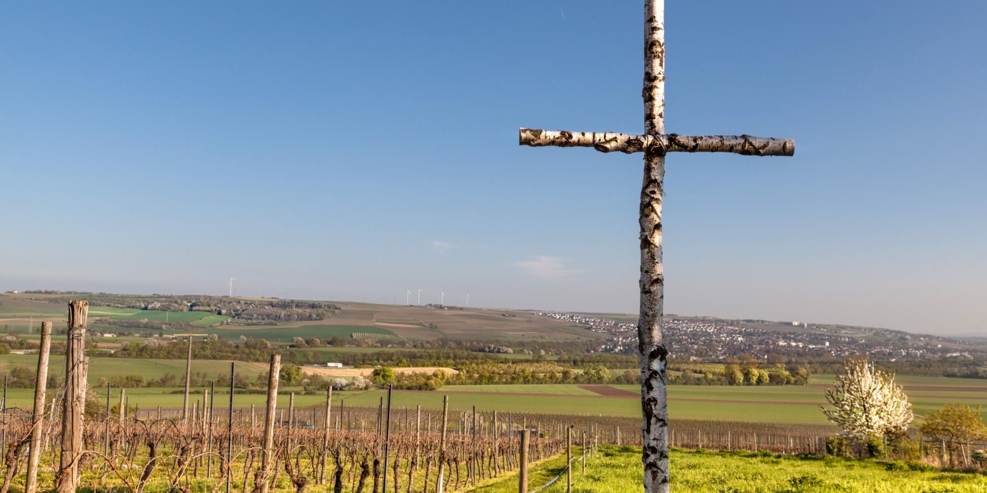 Blick von Ober-Olmer nach Nieder-Olm - Kopie