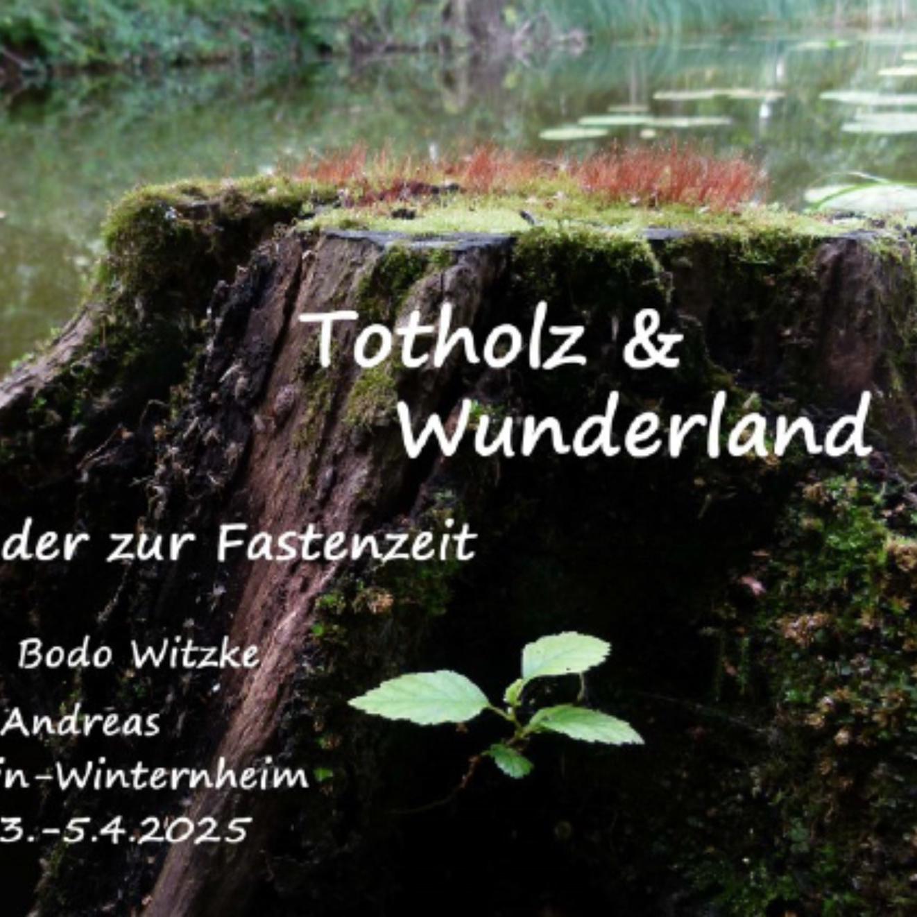 Totholz & Wunderland (c) Bodo Witzke