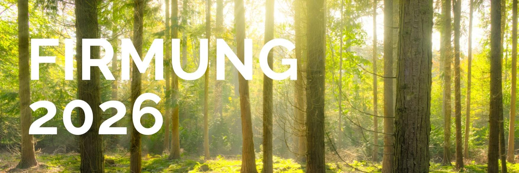 Firmung 2026 (c) Pfarrgemeinde St. Franziskus Nieder-Olm