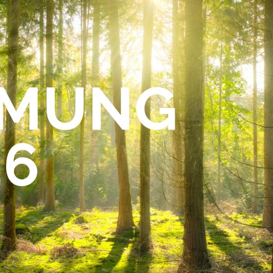 Firmung 2026 (c) Pfarrgemeinde St. Franziskus Nieder-Olm