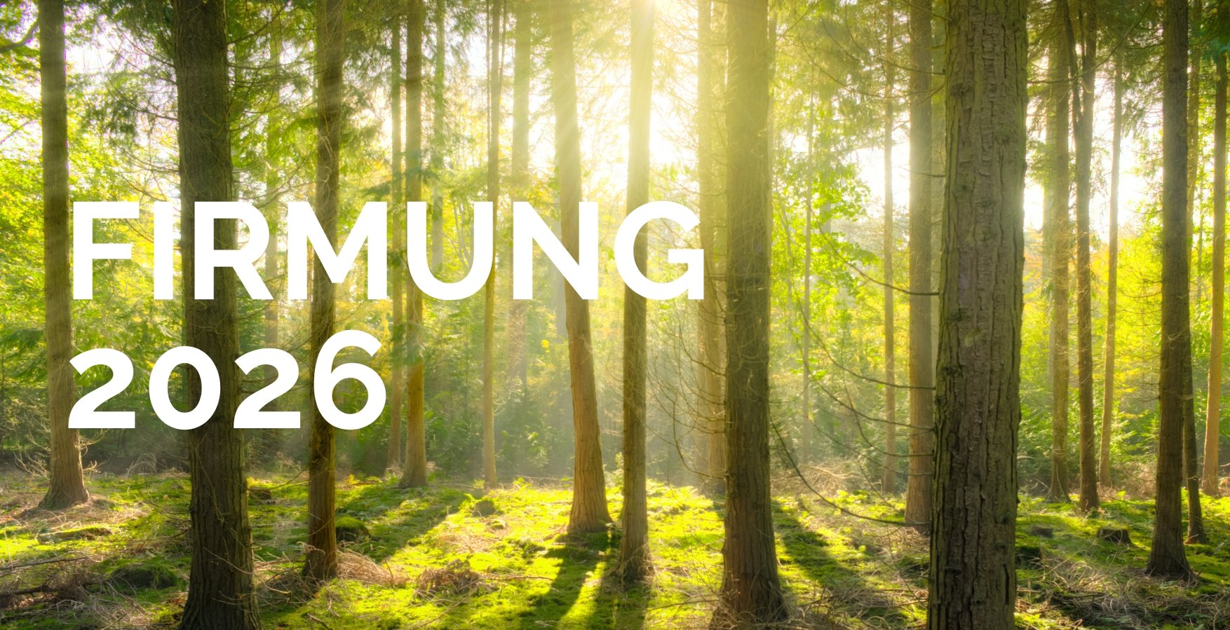 Firmung 2026 (c) Pfarrgemeinde St. Franziskus Nieder-Olm