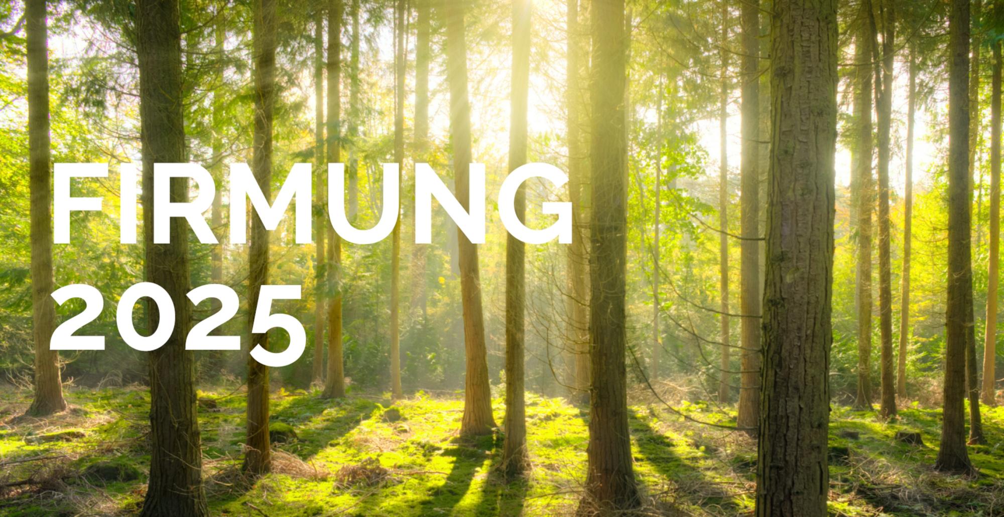 Firmung