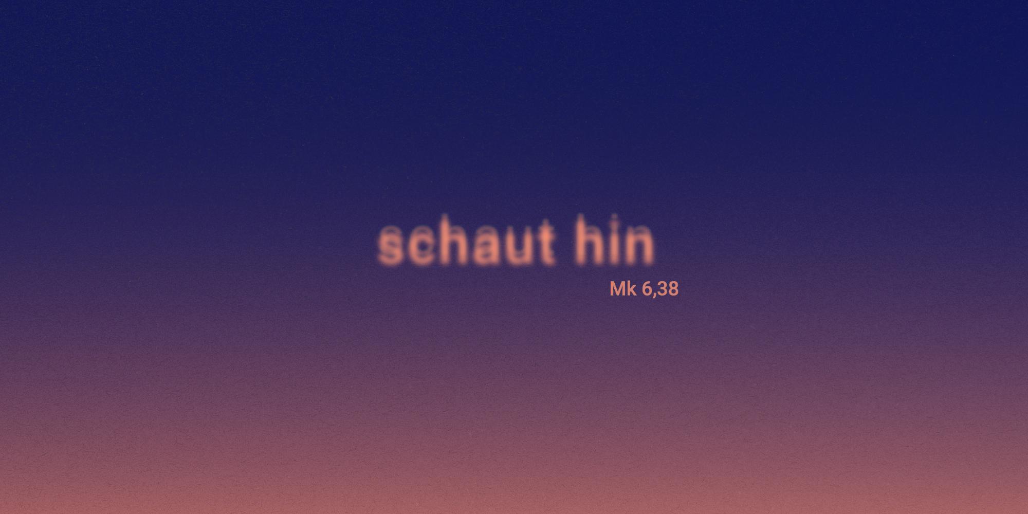 oekt_schaut_hin_a5_quer_rgb