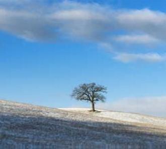 Winterlandschaft_Neujahr