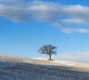 Winterlandschaft_Neujahr (c) St. Michael Nd.-Ramstadt