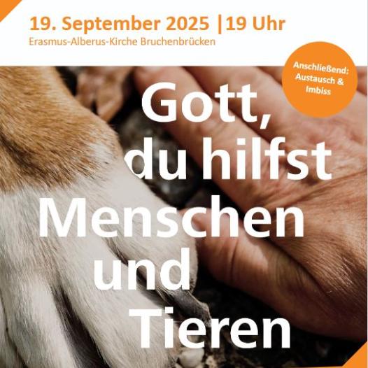 ACK Schöpfungszeit 2025 (c) ACK