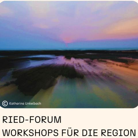 Ried-Forum