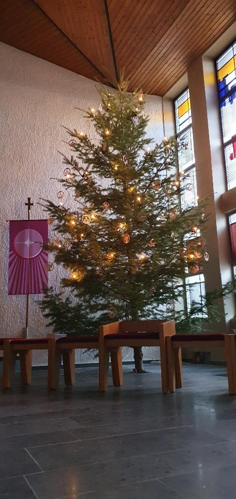 Der von Familie gestiftete Weihnachtsbaum in vollem Glanz