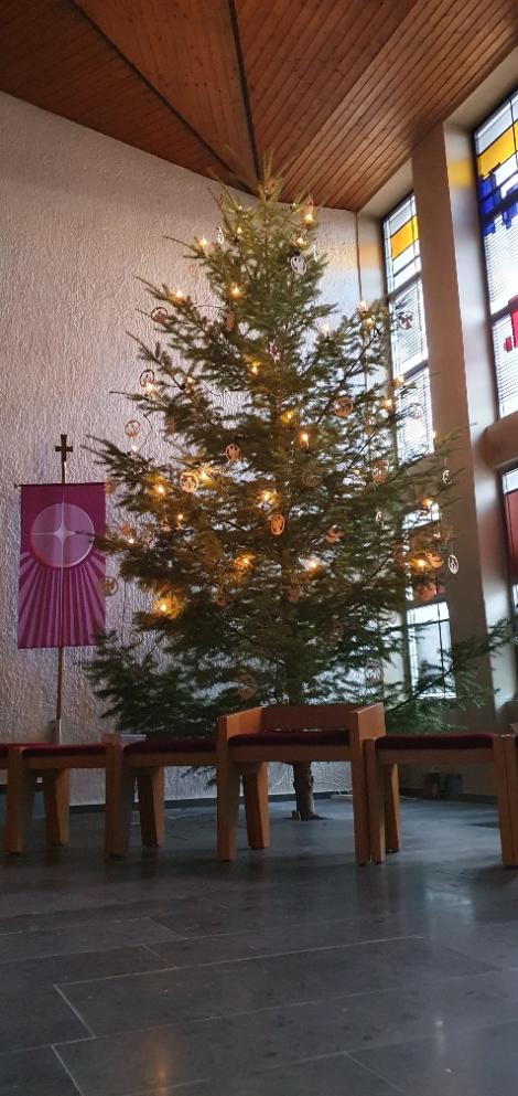 Der von Familie gestiftete Weihnachtsbaum in vollem Glanz (c) H Plaha