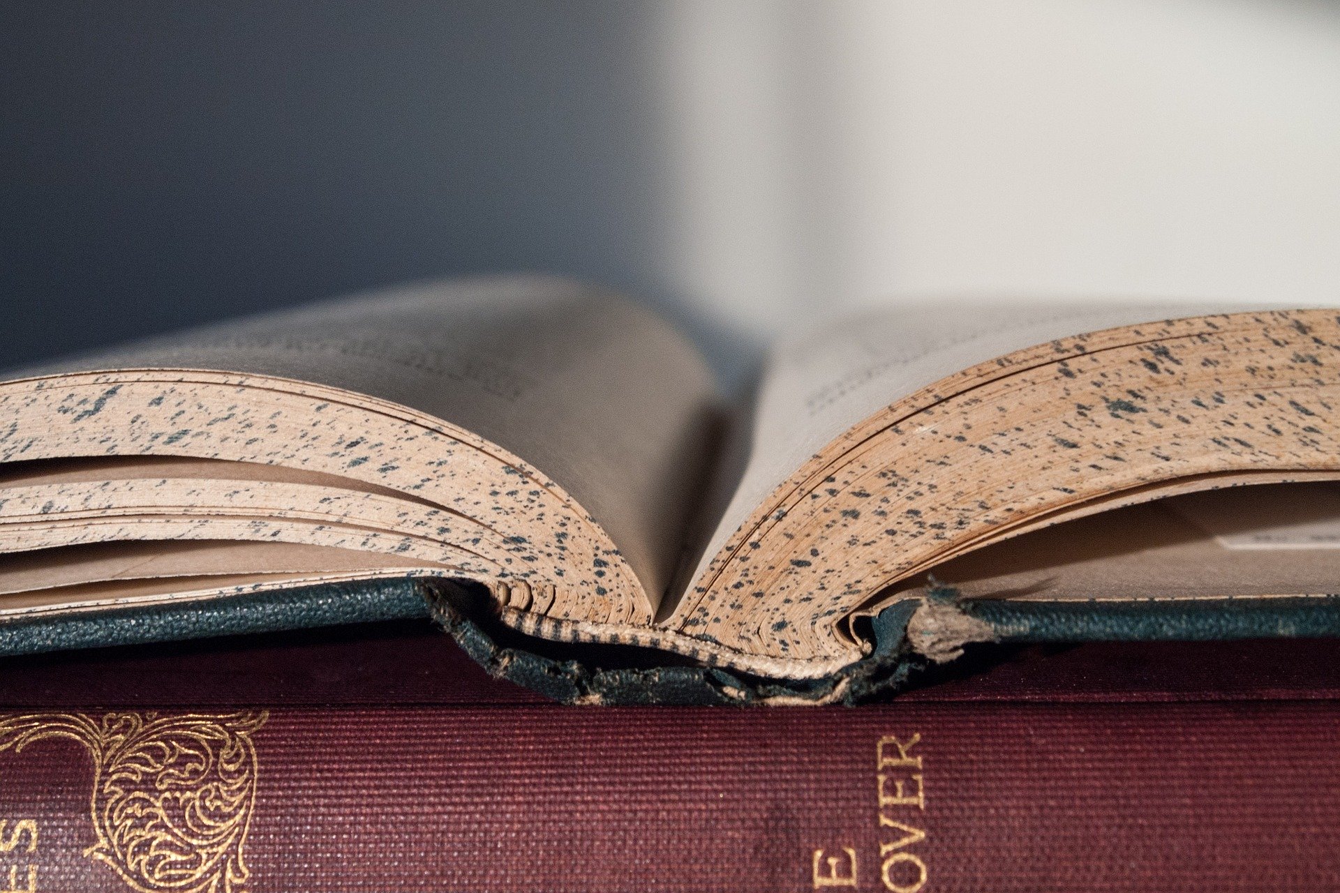 altes Buch (c) Bild von MorningbirdPhoto auf Pixabay