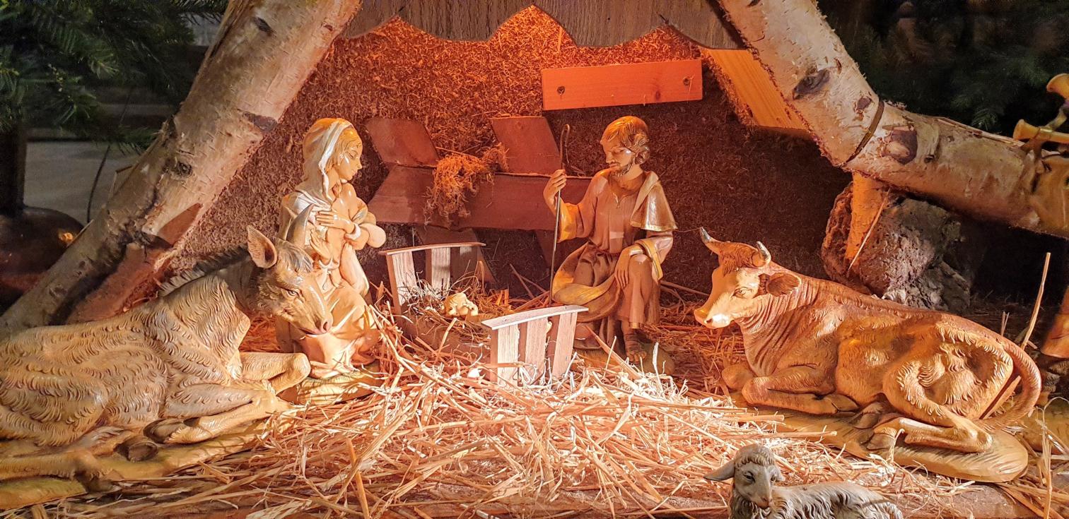 20221224_213739 (1) (c) jolie