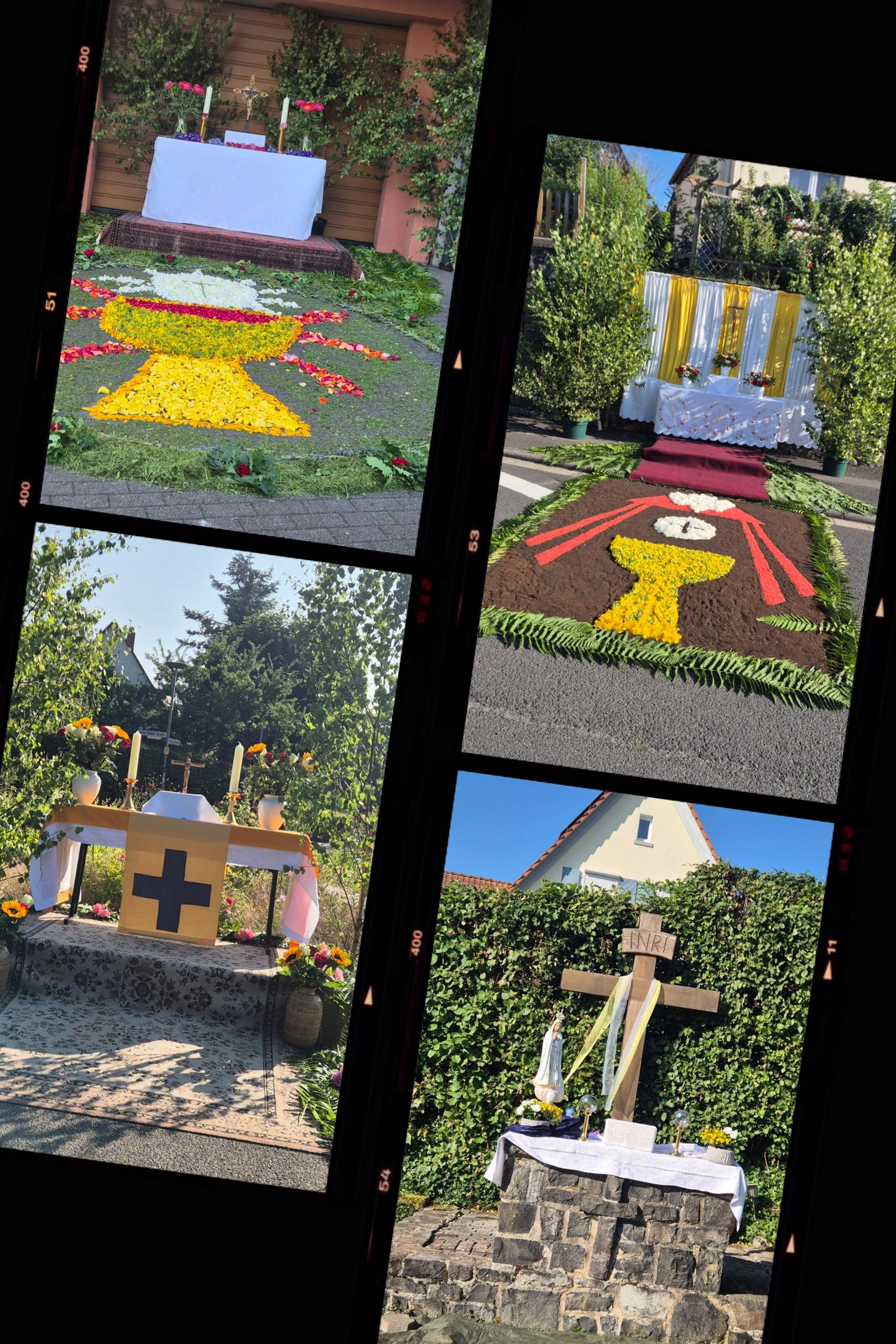 20250619_084649-COLLAGE (c) jolie