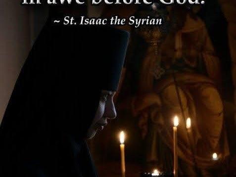 IMG-20200706-WA0007 (c) Marion Bauer