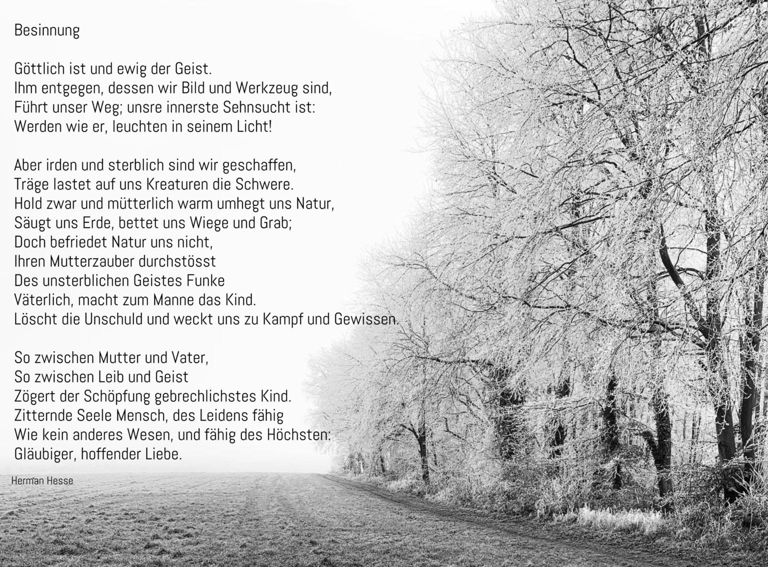 IMG_0390 (c) Marion Bauer