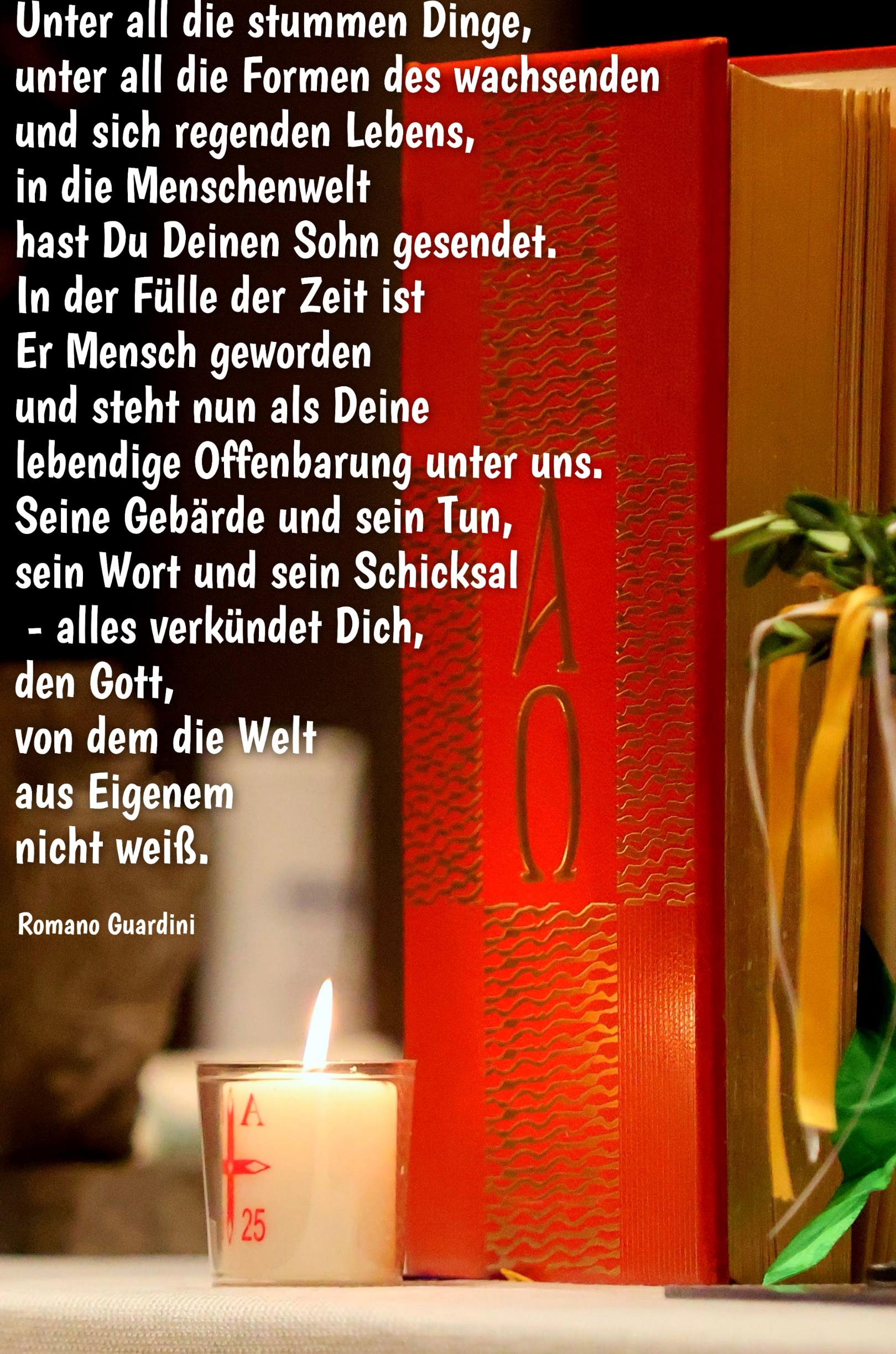 IMG_1315 (c) Marion Bauer