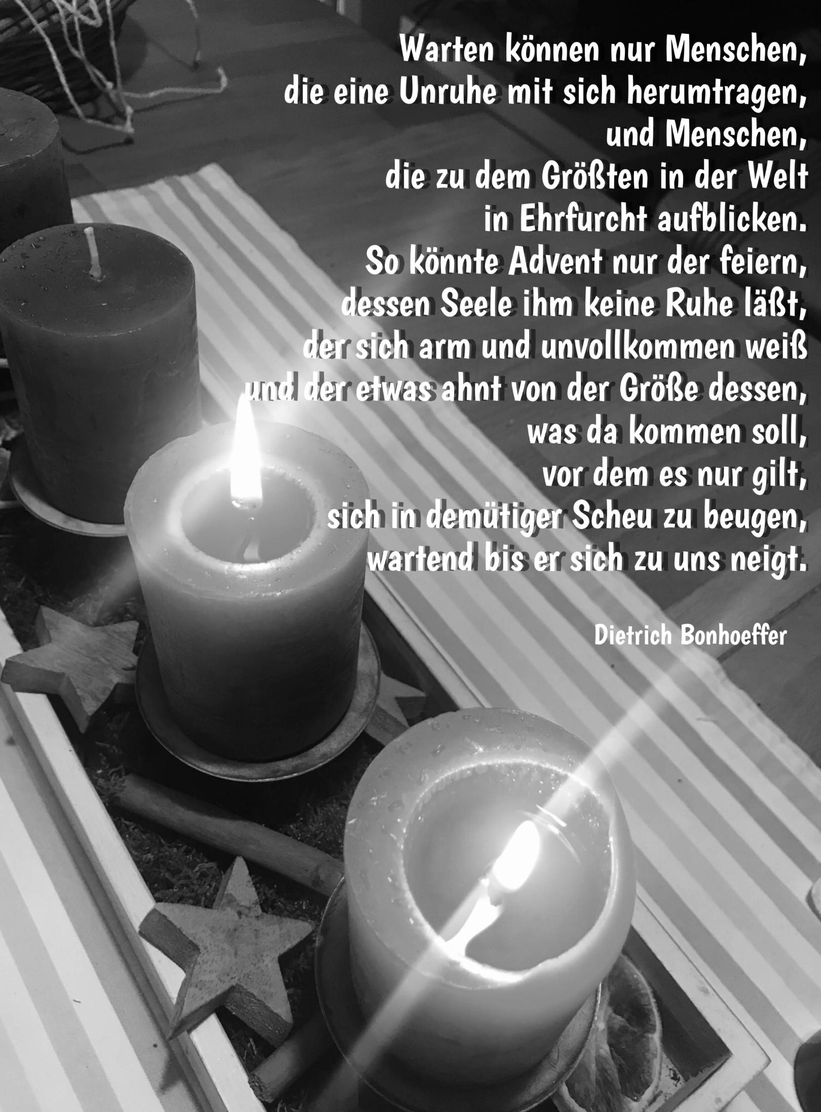 IMG_4786 (c) Marion Bauer