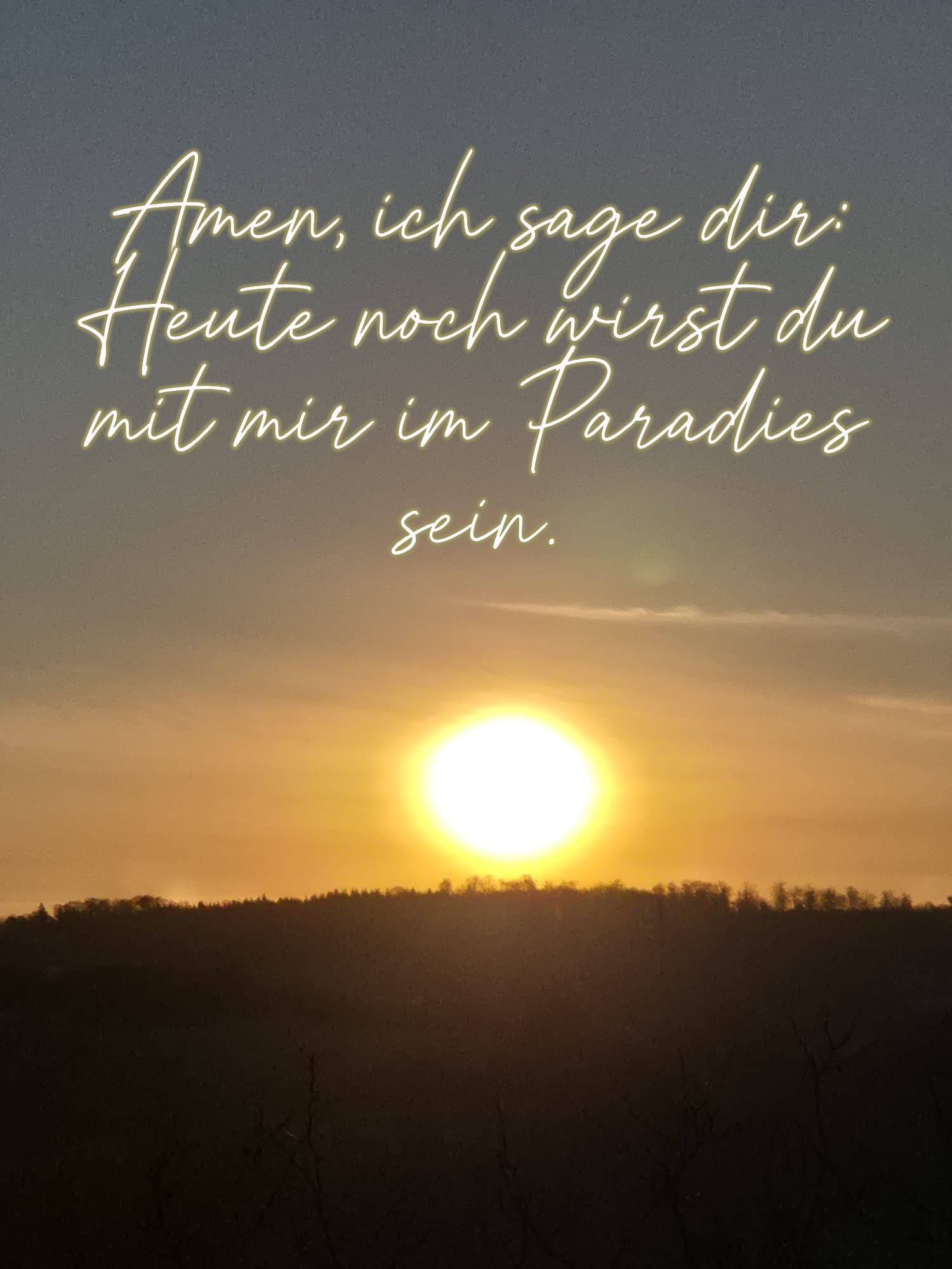 WhatsApp Image 2025-11-21 at 08.22.03 (c) H.Rentmeister