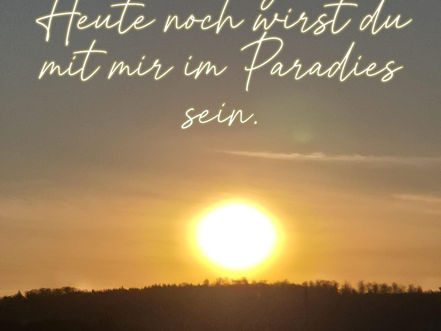 WhatsApp Image 2025-11-21 at 08.22.03 (c) H.Rentmeister