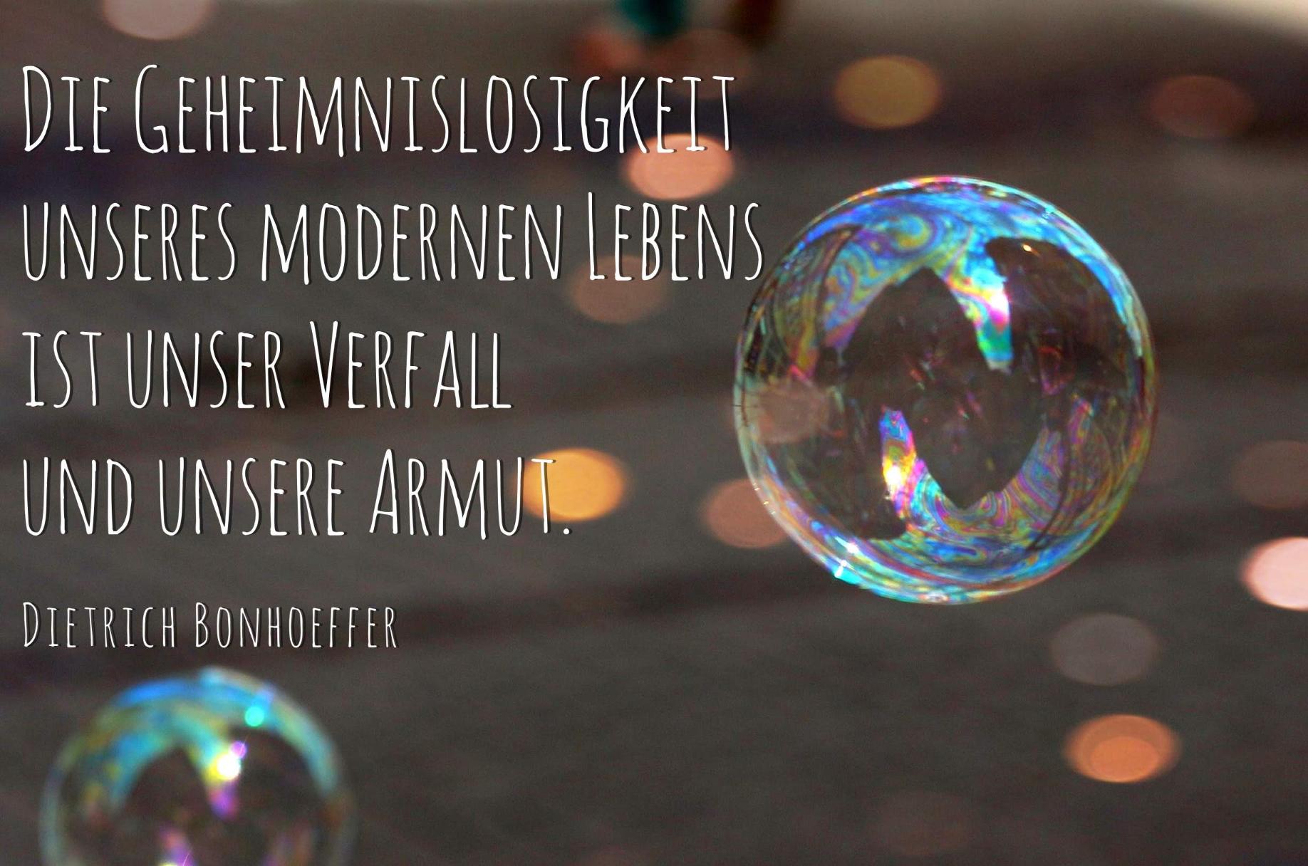 bonhoeffer (c) marion bauer