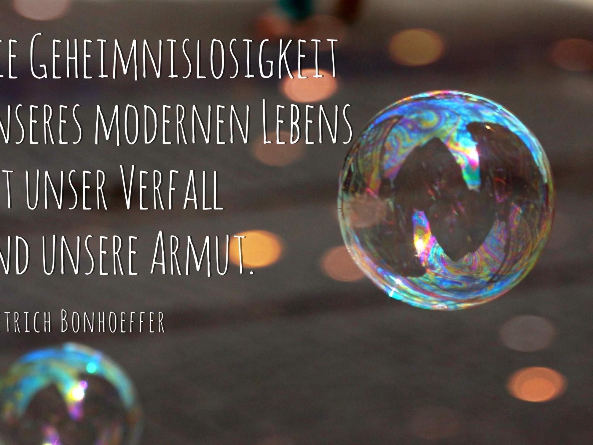 bonhoeffer (c) marion bauer