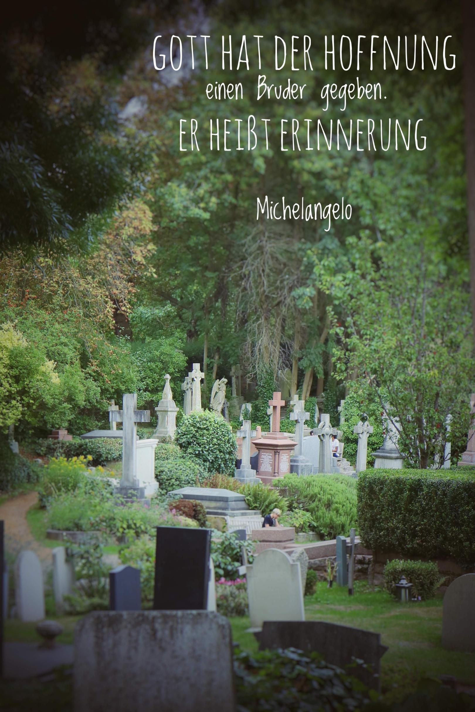 michelangelo (c) Marion Bauer