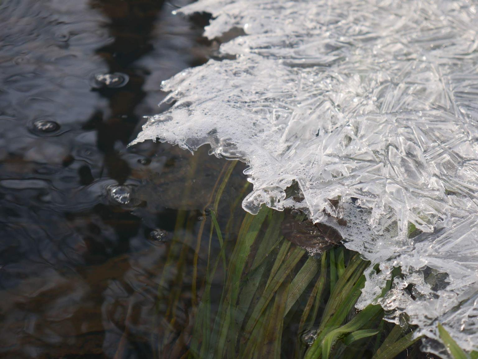 received_1110798122369634 (c) jolie