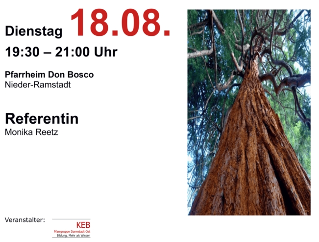 Bild: Ein Baum von unten in die Krone fotografiert. Daneben Termin und Ort der Veranstaltung