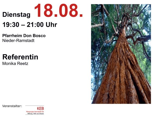 Bild: Ein Baum von unten in die Krone fotografiert. Daneben Termin und Ort der Veranstaltung